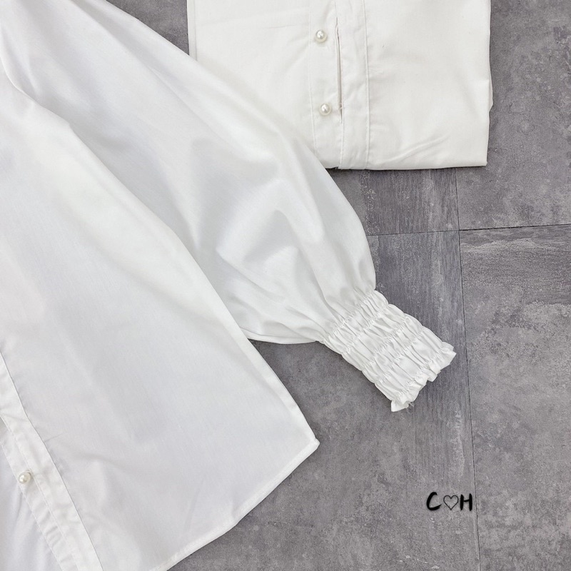 Áo Somi trắng cổ bẻ C50, áo trắng Quảng Châu bo chun tay sang chảnh dành cho nữ