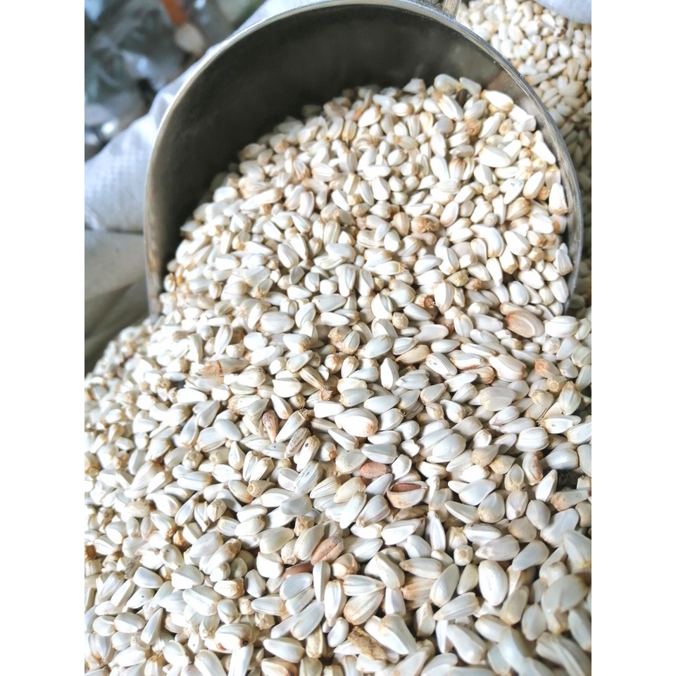 Hạt Kham dành cho gà đá, hamster, chim, vẹt.