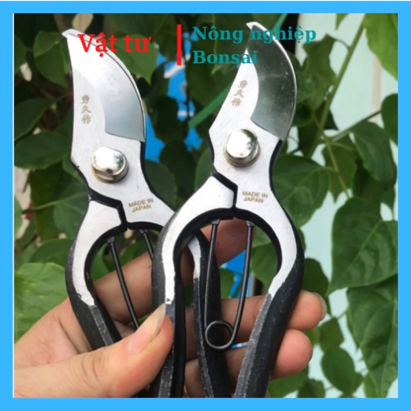 Kéo cắt cành thép đen nguyên khối (hàng bãi Nhật)