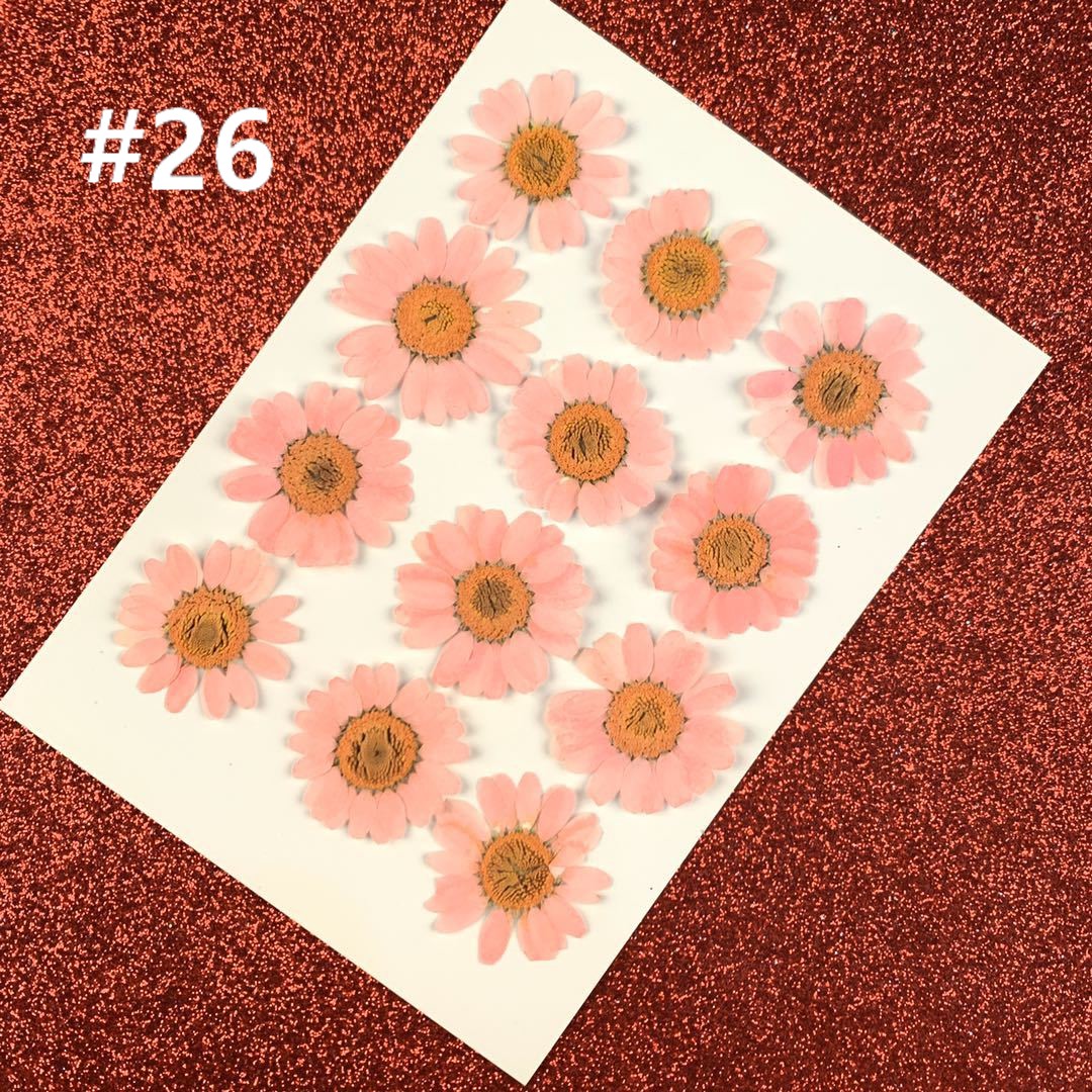 HANDMADE Miếng Dán Hoa Cúc Trắng Trang Trí Xinh Xắn | BigBuy360 - bigbuy360.vn