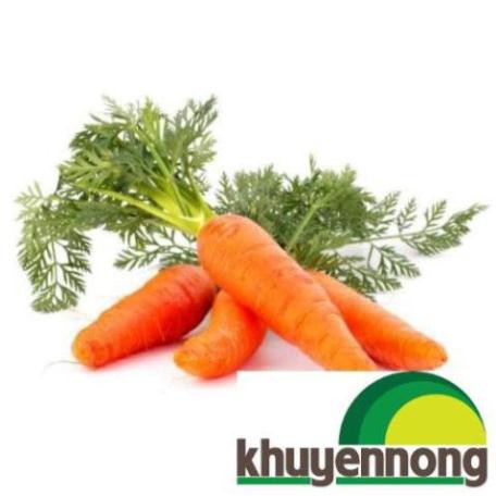 Gói 300 hạt giống cà rốt đỏ