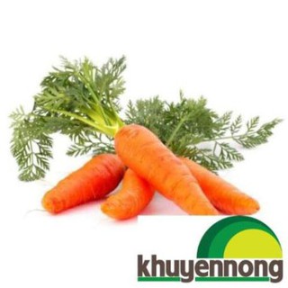 Gói 300 hạt giống cà rốt đỏ