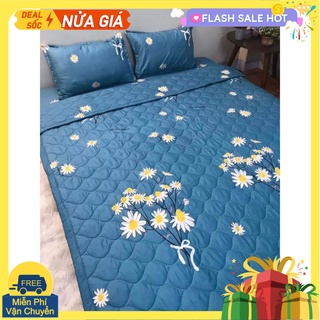 Chăn hè thu trần bông 3 lớp poly,mền trần bông,hàng có sẵn tại tphcm,cành hoa cúc đơn