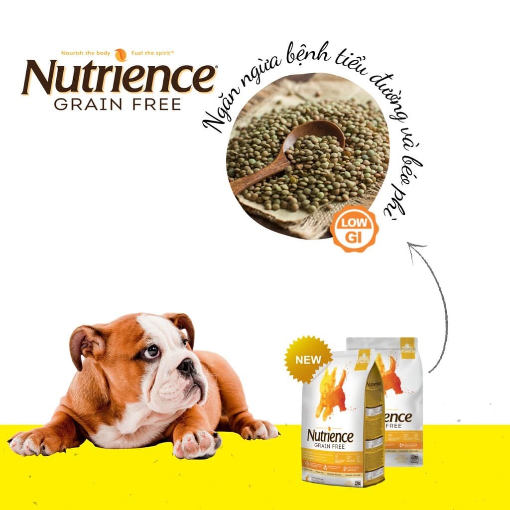 [DINH DƯỠNG CAO - GRAIN FREE ] Bao 5KG Thức Ăn Cho Chó Nutriene Grain Free vị Thịt Gà, Cá Trích, Rau Củ, Trái Cây - HẠT