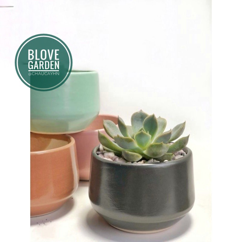 (6x8cm) Chậu kim cương thấp cao 6 cm trồng cây Để Bàn, Cây Nội Thất, Sen Đá, Xương rồng, Cây Bonsai