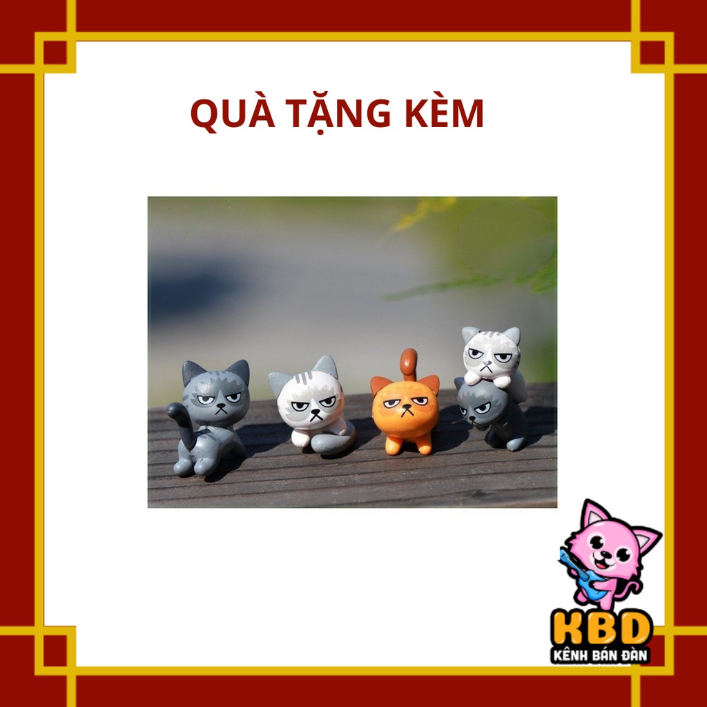 Mèo khó tính nhăn nhó
