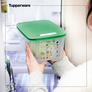 Hộp trữ mát có nút hô hấp Ventsmart 4.4l