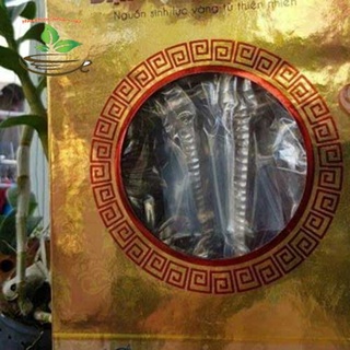 🍀 Thang rượu cá ngựa 33 vị -VÍP