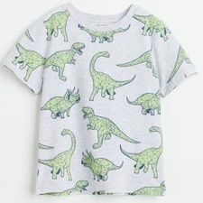 Áo khủng long xám HM Size 2-4y