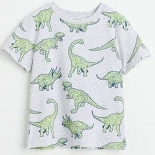 Áo khủng long xám hm size 2-4y