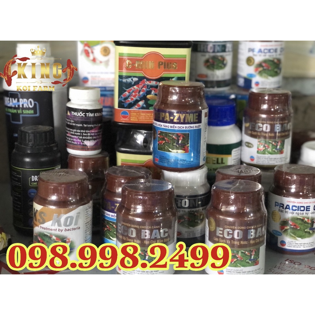 Men vi sinh Dream Pro Chế phẩm xử lý nước cho hồ cá 500ML_1000ML