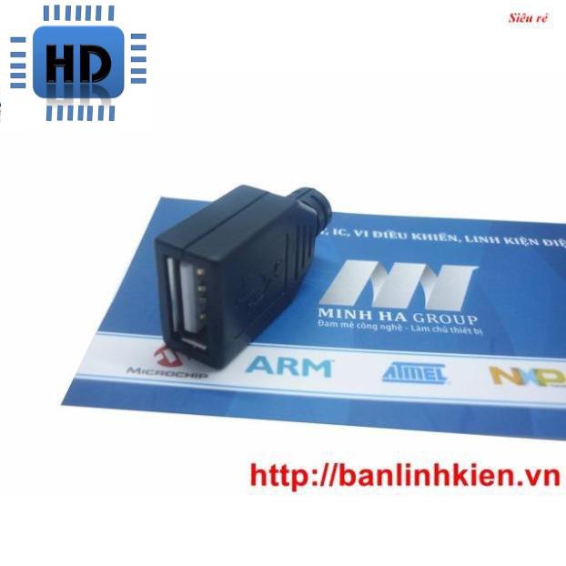 [HD] Đầu Jack USB A Cái HD1