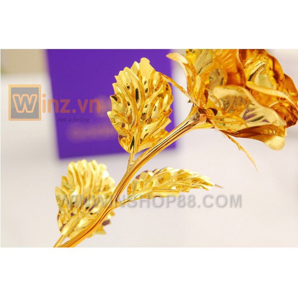 Hoa hồng mạ vàng 24K có đế bông màu vàng - Muasamhot1208