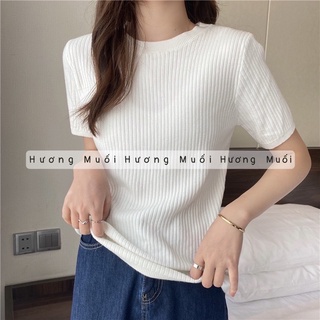 (Hương Muối)Áo len cộc tay trơn basic - bảng màu pastel