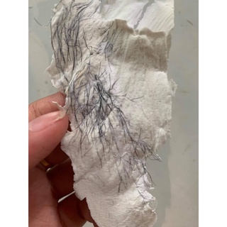 SÁP_WAX_CAO_CẤP