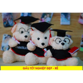 Gấu Bông Cử Nhân Tốt Nghiệp Cao Cấp