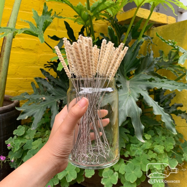 Cọ rửa ống hút từ xơ dừa, cỏ trắng