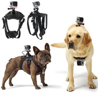 Dây Đeo Gắn Action Caera Gắn Trên Người Thú Cưng - Dog Fetch Harness