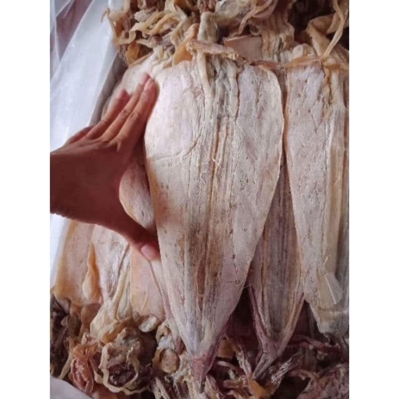 1 con Mực Khô Cô Tô hàng loại to size (8-10 con) chuẩn thơm ngon ngọt