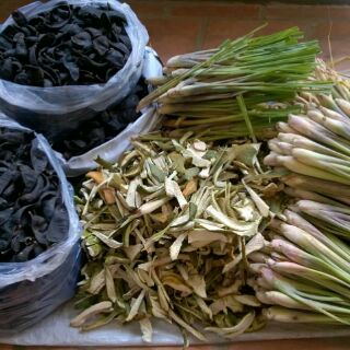 NƯỚC BỒ KẾT - THẢO DƯỢC