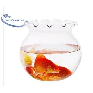 Bể Cá Hồ Cá Thủy Tinh Chậu Cây Miệng Bèo B11 D17CM x 16CM