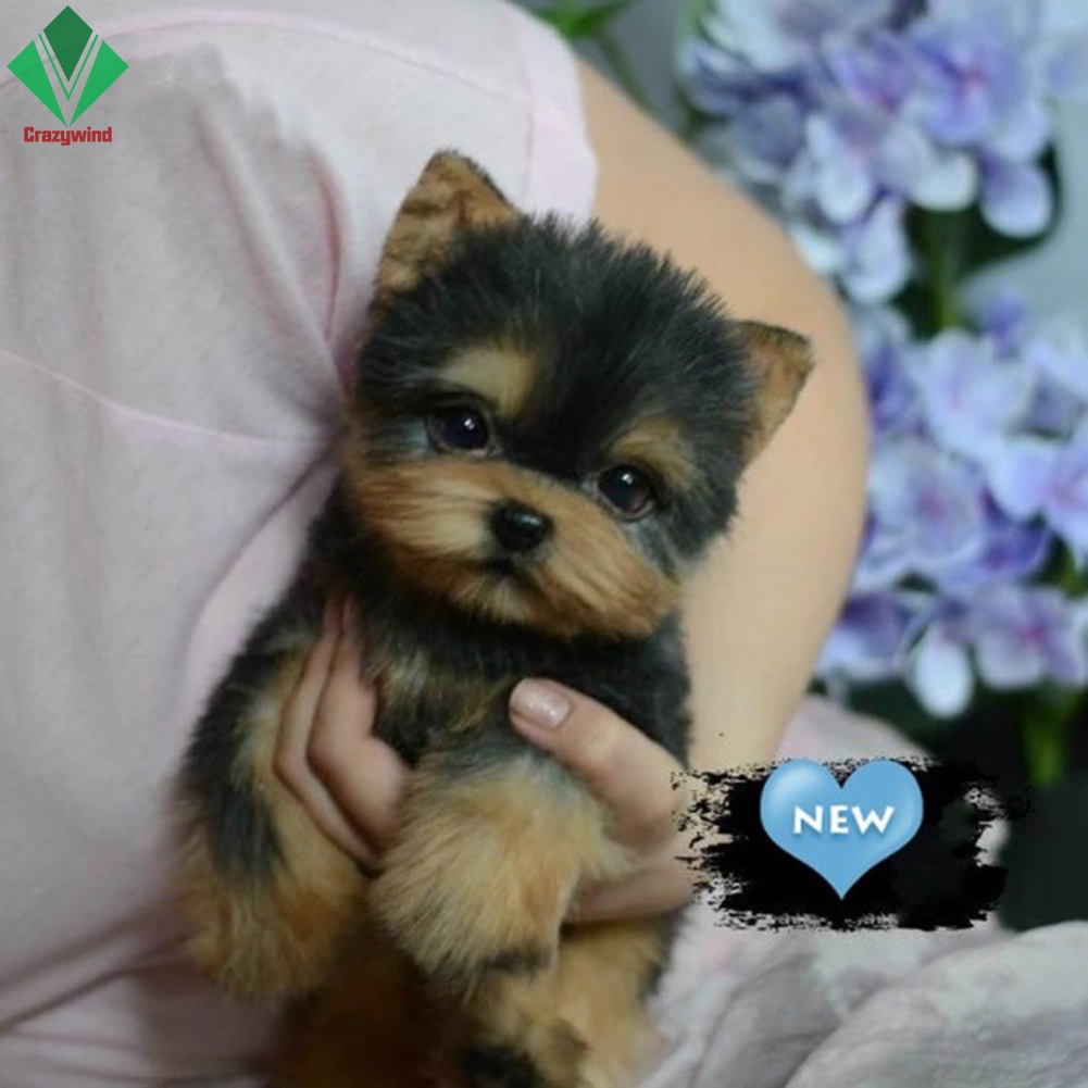 Đồ Chơi Thú Nhồi Bông Hình Chú Chó Giống Thật Dễ Thương