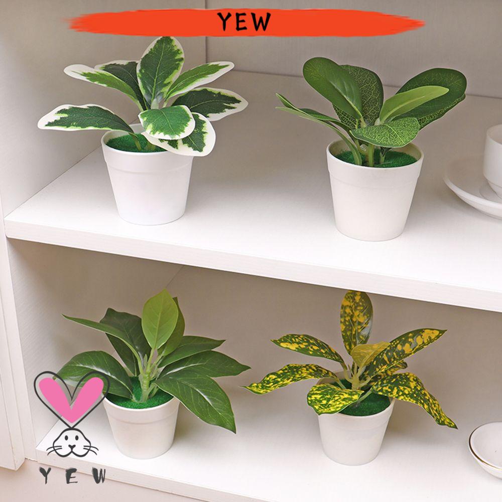 Chậu Cây Cảnh Nhân Tạo Độc Đáo Trang Trí Nhà Cửa/ Phông Nền Chụp Ảnh