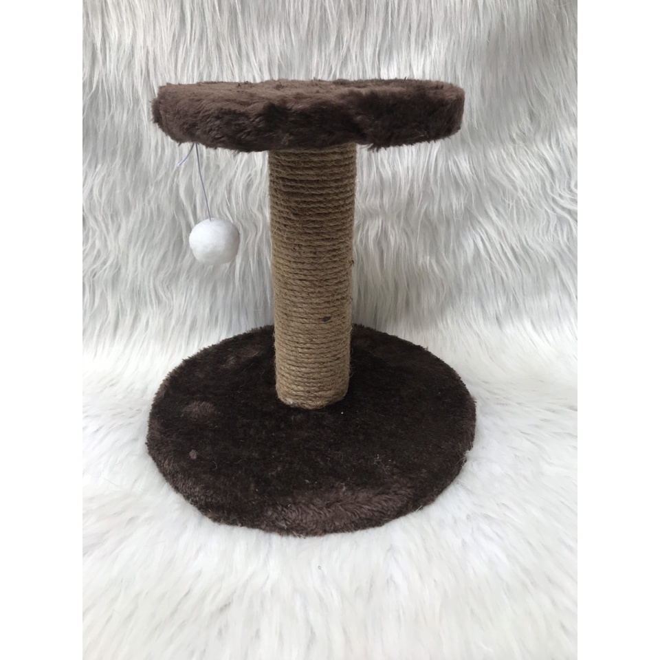Đồ chơi cho mèo con kích thước 24cmx18cmx14 cm