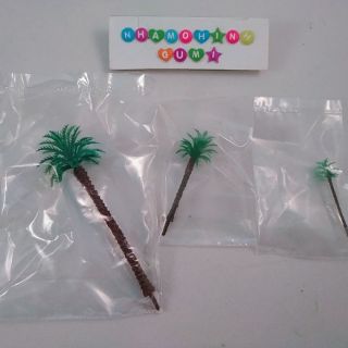 Cây dừa cọ