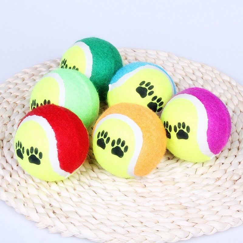 Bóng tennis dùng để chơi/ tương tác với thú cưng, đồ chơi cho chó, đồ chơi cho mèo