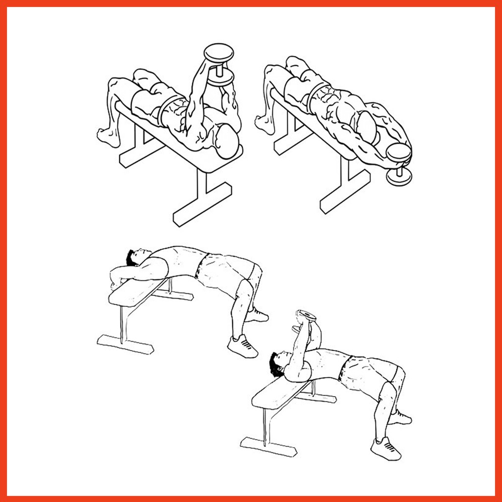 Ghế vớt tạ xuki chính hãng loại lớn [ bỏ sỉ ]