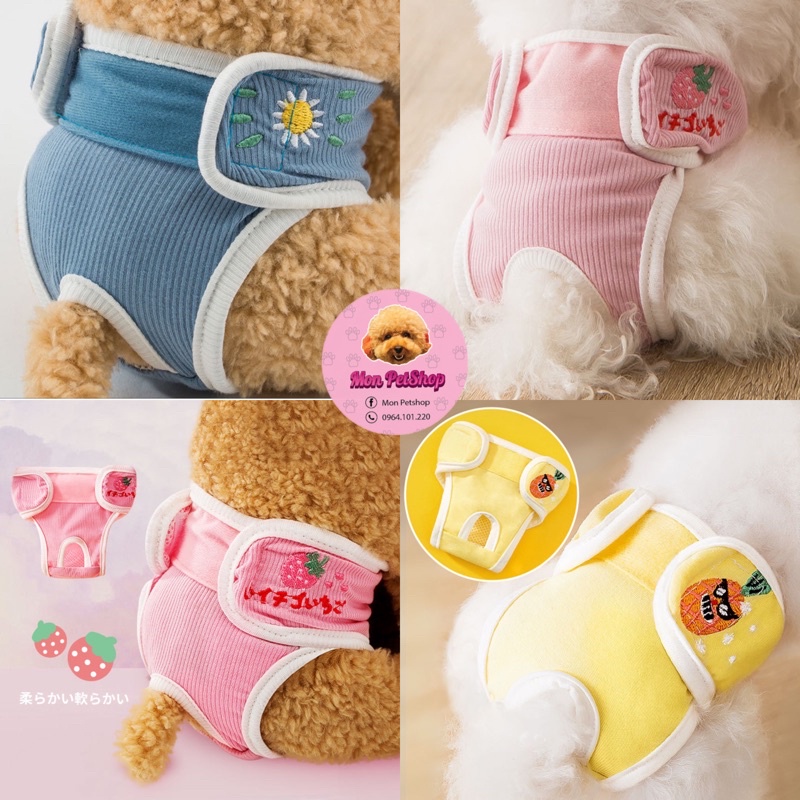 Quần chíp sinh lý cho chó mèo cái