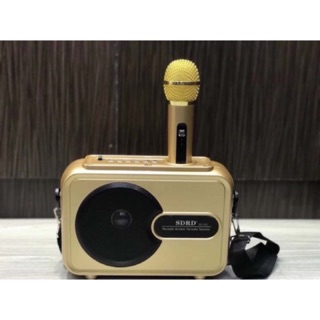 Loa karaoke bluetooth sd-501 kèm micro không dây