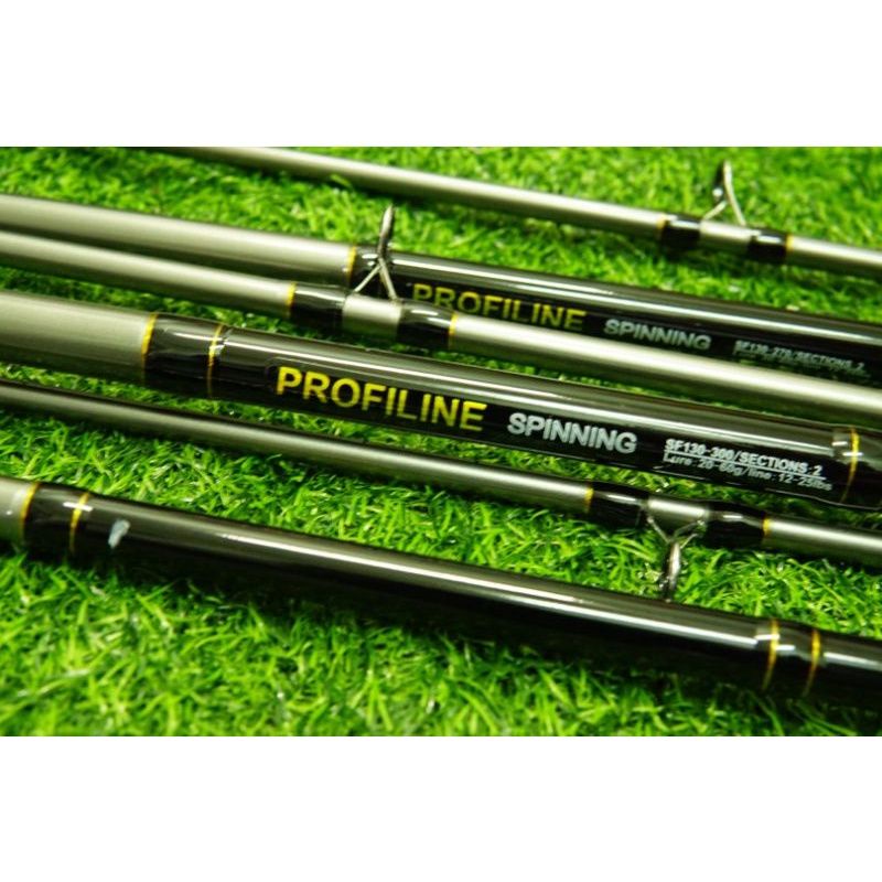Cần câu profiline spining