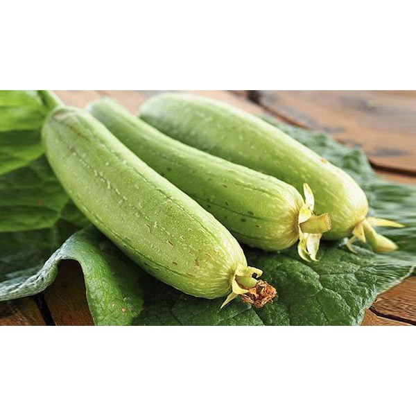 HẠT GIỐNG MƯỚP HƯƠNG PHÚ NÔNG