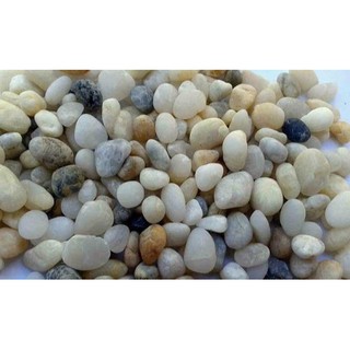 Sỏi nhiều màu thả hồ cá 5- 20mm
