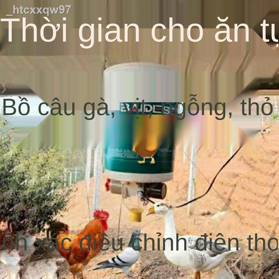 Chim bồ câu cung cấp đồ dùng máng ăn tự động cuốc tính thời gian gà vịt ngỗng thỏ máy cho nghệ thuật