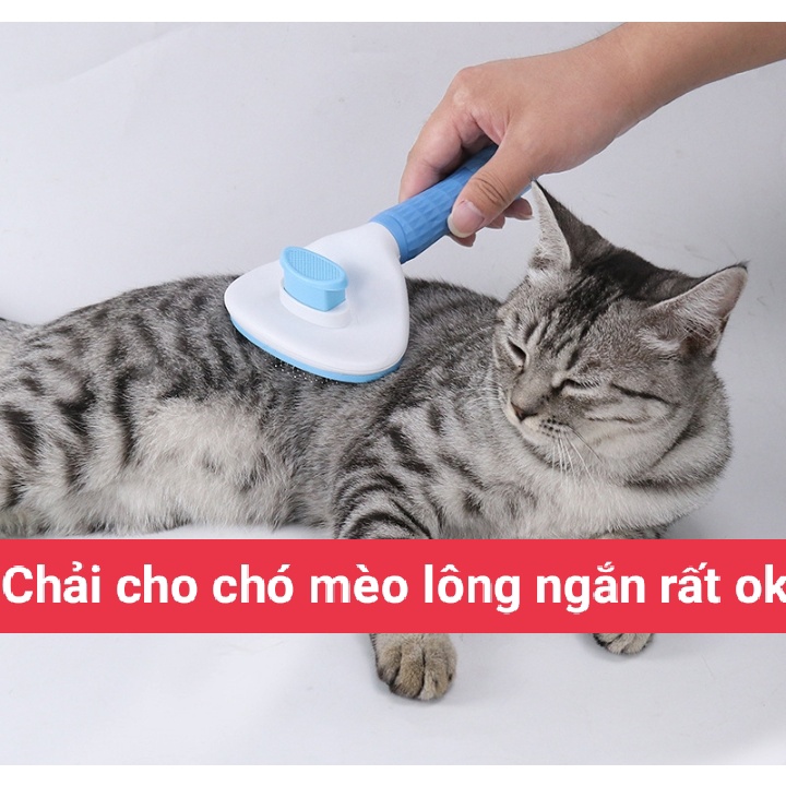 Lược chải lông cho chó mèo Clean size Lớn phiên bản mới nhất - Lược chải lông chó mèo có nút bấm