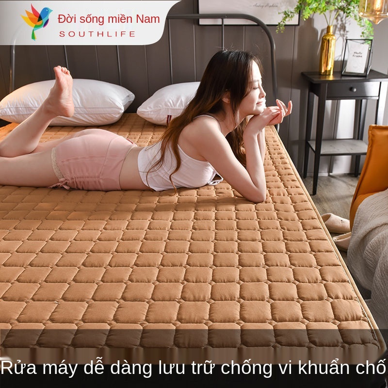 Nệm Bốn Mùa mỏng chống trượt Phòng ngủ tập thể Tian Four Seasons bảo vệ gấp Lưng đôi