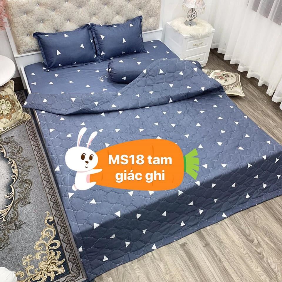 Chăn hè thu trần bông 1m8x2m mẫu bơ xanh