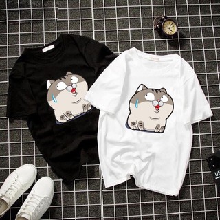 Áo thun cotton in hình mèo béo Ami bụng bự 2 màu đen trắng