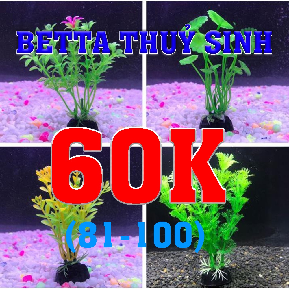 Cây nhựa dùng trang trí bể cá Betta đồng giá 60k (01-20)