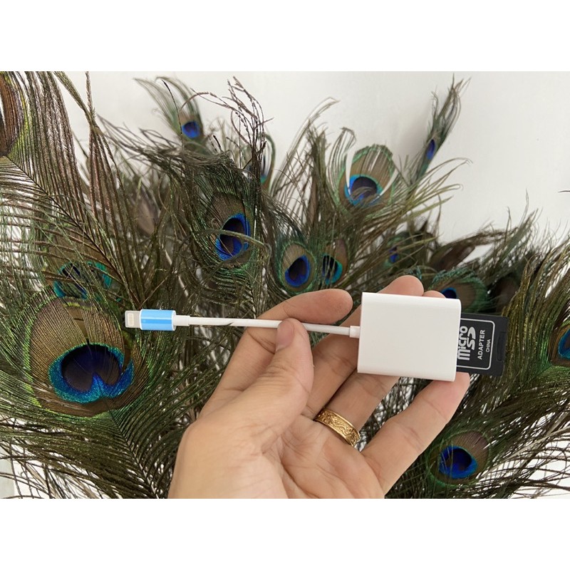 Dây cáp OTG đọc thẻ nhớ SD cho iPhone 5 / 6 / 7 và iPad