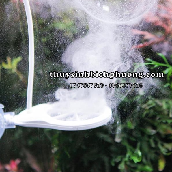 CHIHIROS DOCTOR VERSION V4 - SẢN PHẨM PHÒNG NGỪA, ỨC CHẾ RÊU HẠI SIÊU ĐẲNG