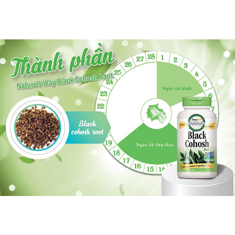Nature's Way Black CoHosh Root 540mg - Viên uống bổ sung Estrogen, hỗ trợ tiền mãn kinh, giảm bốc hỏa 180 viên