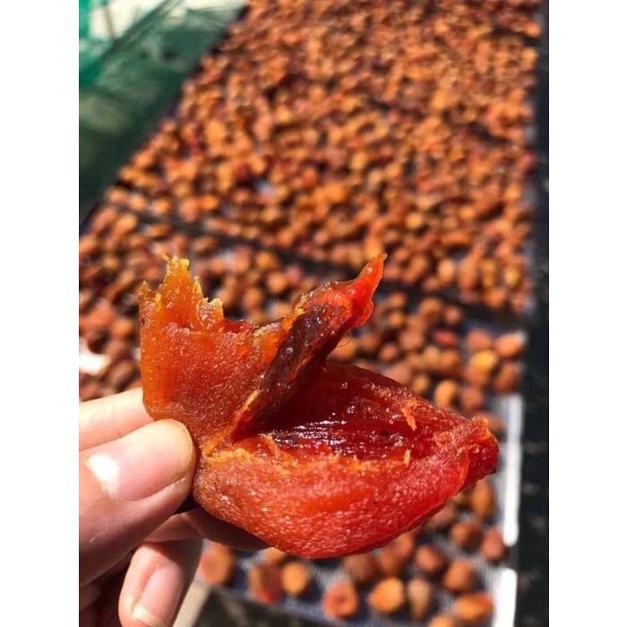 500gr Hồng treo gió nguyên trái Đà Lạt loại 1, dẻo ngon