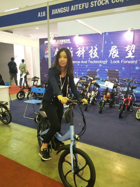 Xe đạp điện gấp FMT Couple-nam