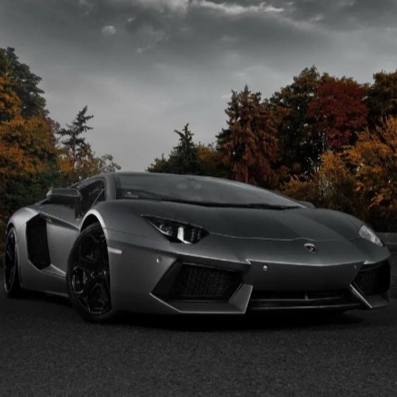 Faicai 💖Car Supplies Store