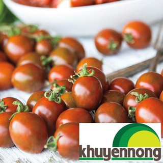 Gói 30 hạt giống cà chua socola