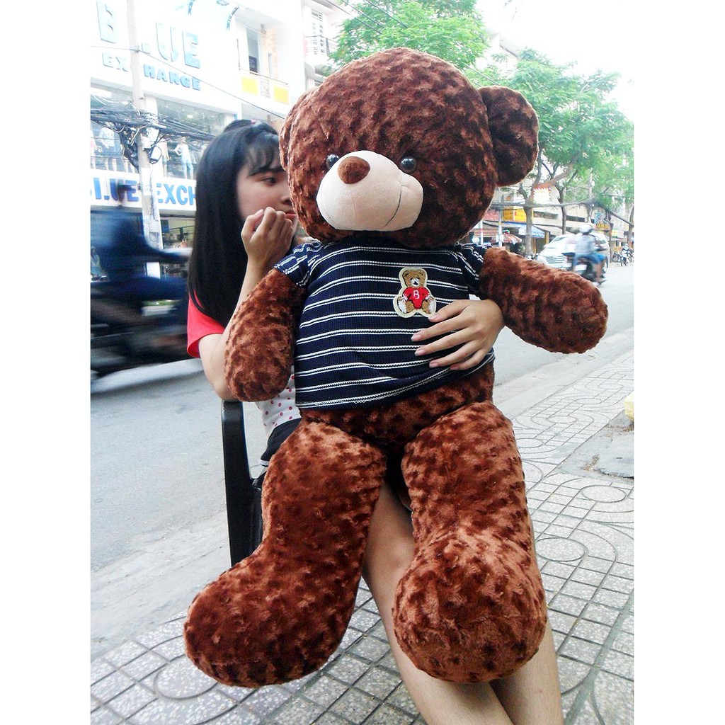 Gấu bông Teddy cao cấp khổ vải 1m4 màu Nâu